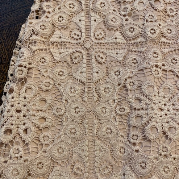 NWT Jack by BB Dakota pink lace dress. Size XS - Picture 9 of 16